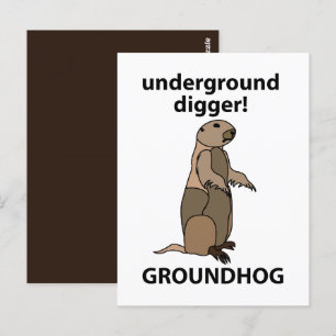 Cartão Postal Engraçado Pet Groundhog