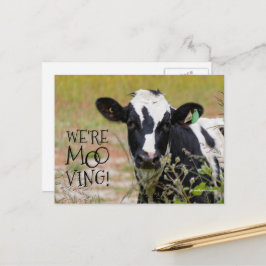 Cartão Postal Engraçado "Somos Moo-ving!" Movendo a Vaca do Anún