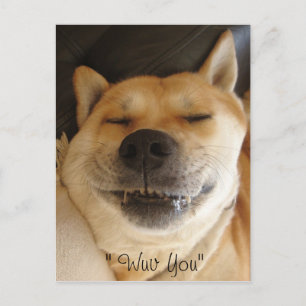 Cartão Postal engraçado tipo japonês akita com amor de sorriso f