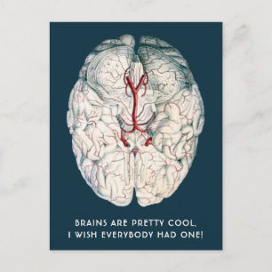 Cartão Postal Engraçado Vintage Brain "Eu Queria Que Todos Tive