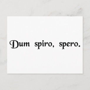 Cartão Postal Enquanto respiro, espero.