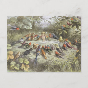 Cartão Postal Ensaio Vintage na Terra das Fadas