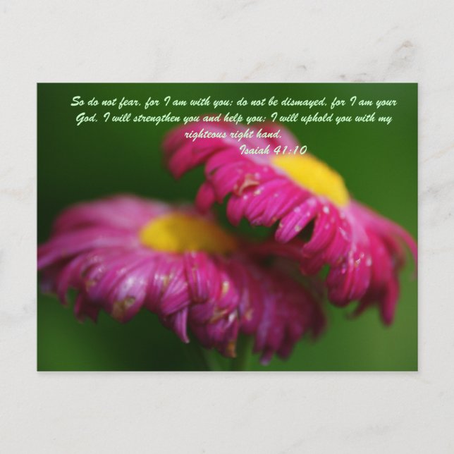 Cartão Postal Então, não temam, pois estou com vocês. não seja c (Frente)