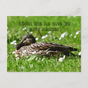 Cartão Postal Ente auf einer Wiese Postkarte