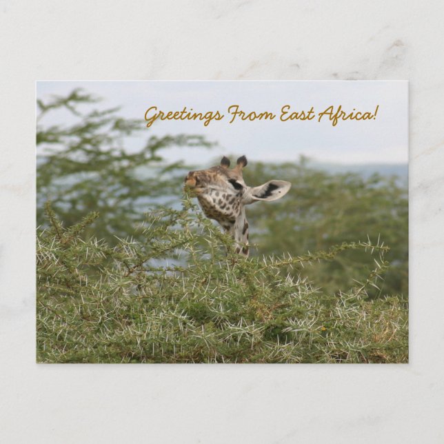 Cartão Postal Entendi! -Cartão Postal (Frente)