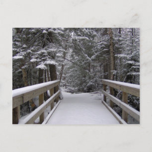 Cartão Postal Enter - New Hampshire Snow Scense Postcard