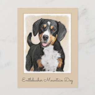 Cartão Postal Entlebucher Mountain Dog Painting - Arte Original