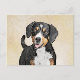 Cartão Postal Entlebucher Mountain Dog Painting - Arte Original