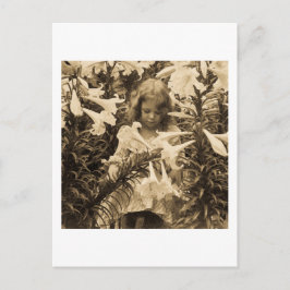 Cartão Postal Entre os Lillies - Vintage Stereoview