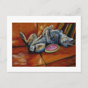 Cartão Postal entrega à frisbee