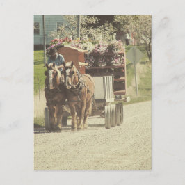 Cartão Postal Entrega de Flor Amish