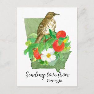 Cartão Postal Enviando Amor Da Georgia Bird Peach Rosa