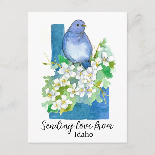 Cartão Postal Enviando Amor De Idaho Bluebird Syringa (Frente)
