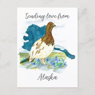 Cartão Postal Enviando Amor Do Alaska Willow Ptarmigan Bird