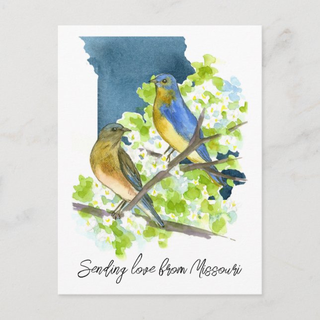 Cartão Postal Enviando Amor, Missouri Bluebird Hawthorn Flower (Frente)