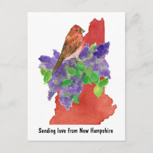 Cartão Postal Enviando Amor Novo Hampshire Purple Finch Lilac