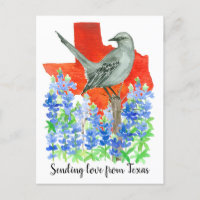 Enviando amor para o Texas Mockingbird Bluebonnets