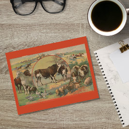 Cartão Postal Ephemera De Raça De Animais De Criação