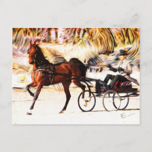 Cartão Postal Equestre   Chama