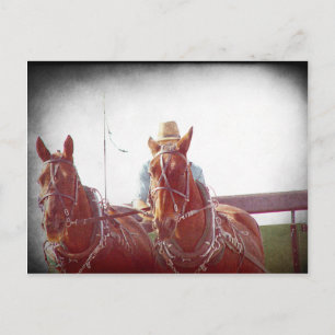 Cartão Postal Equipe Amish de Dois Cavalos Falso Vintage