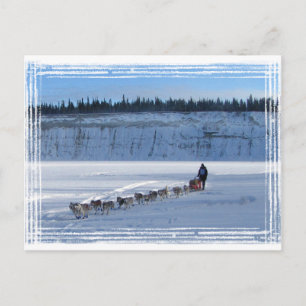 Cartão Postal Equipe de Busca Yukon