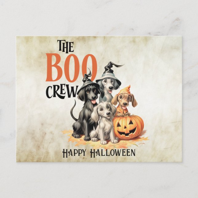Cartão Postal Equipe de Cães Assustadores de Halloween Laranja A (Frente)