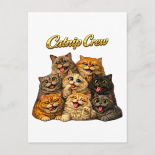 Cartão Postal Equipe de Erva-Doce Rostos de Gatos Engraçados e B