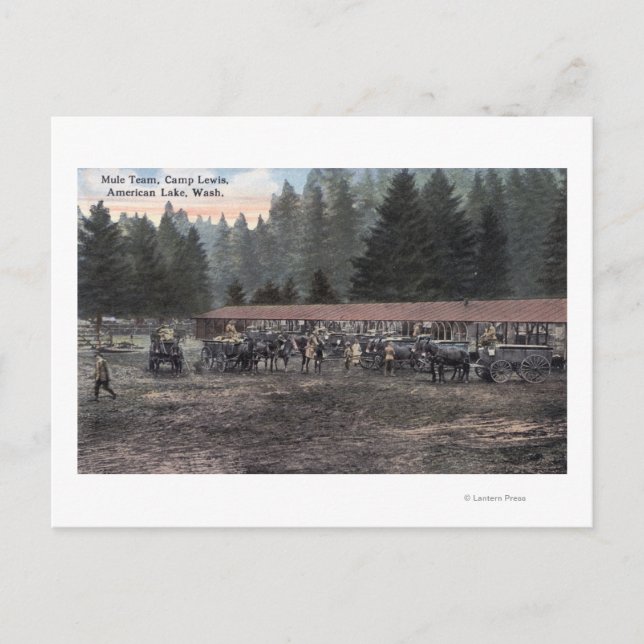 Cartão Postal Equipe Mule no Campo Lewis (Frente)
