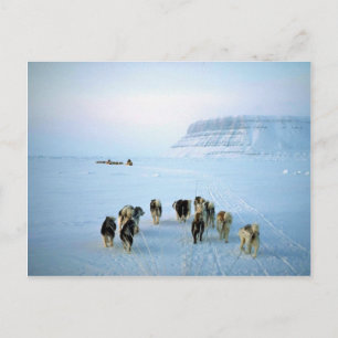 Cartão Postal Equipes de cães, Ilha Devon, Territórios do Noro