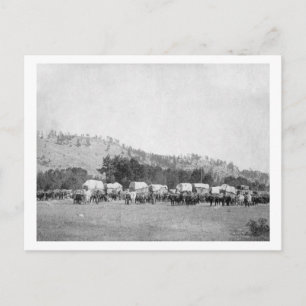 Cartão Postal Equipes de Ox e Vagões em um Vale do Negro