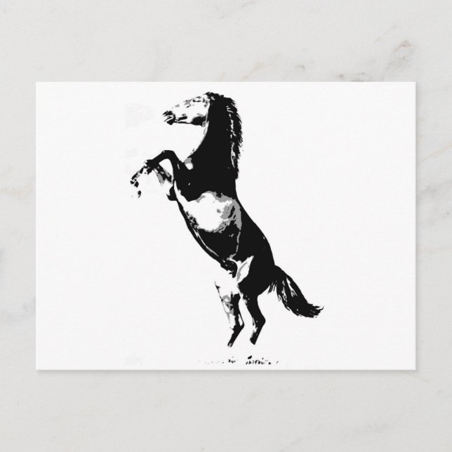 Cartão Postal Equitação (Frente)