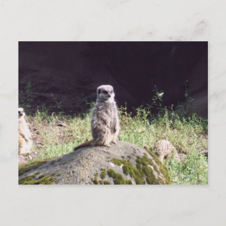 Cartão Postal erdmann