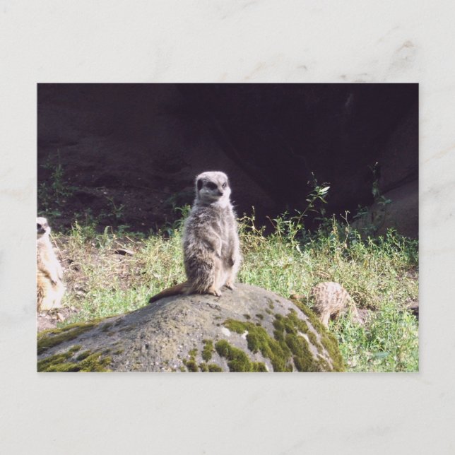 Cartão Postal erdmann (Frente)