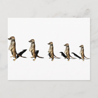 Cartão Postal Erdmännchen em Reihe