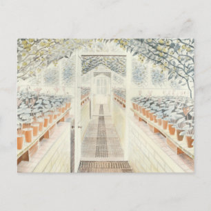 Cartão Postal Eric Ravilious, O Tomate Dos Ciclamídeos De Estuf