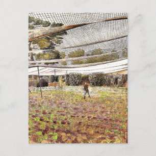 Cartão Postal Eric Ravilious trabalho de arte, Strawberry Nets,