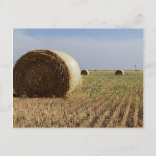 Cartão Postal Erick, Oklahoma, EUA - Rota 66