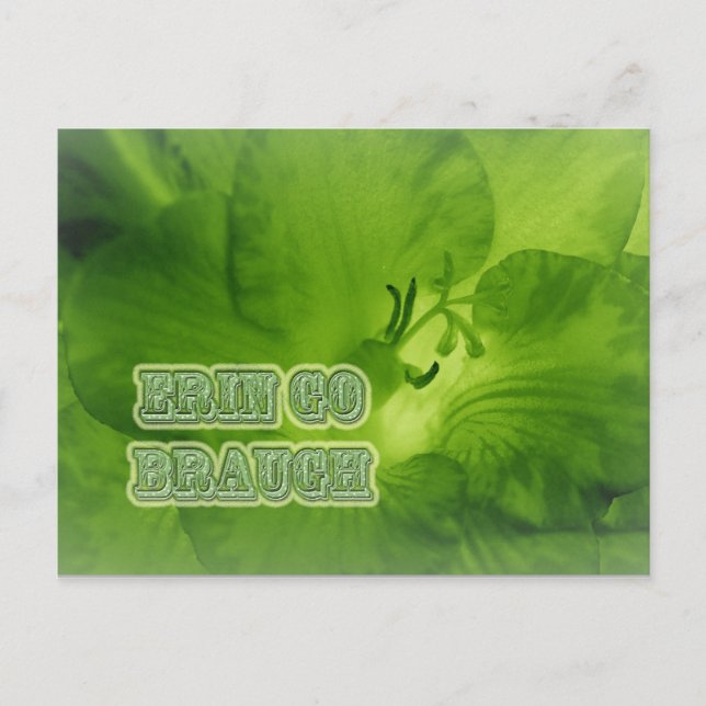 Cartão Postal Erin Go Braugh Green Freesia Items (Frente)