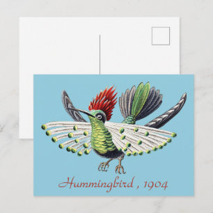 Cartão Postal Ernst Haeckel Colorful Vintage Hummingbird Bird