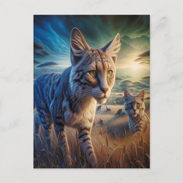 Cartão Postal Errantes de Bigodes num Prado (Frente)