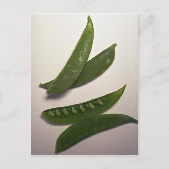 Cartão Postal Ervilhas de neve deliciosas (Frente)