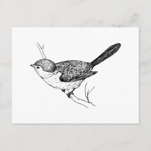 Cartão Postal Esboço curioso do pássaro Bushtit