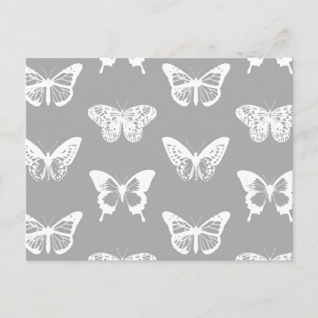 Cartão Postal Esboço da borboleta, cinza prateada e branco (Frente)