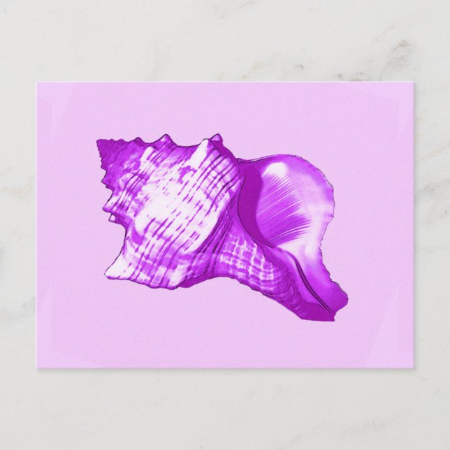 Cartão Postal Esboço da concha - violeta, branco e lavanda (Frente)