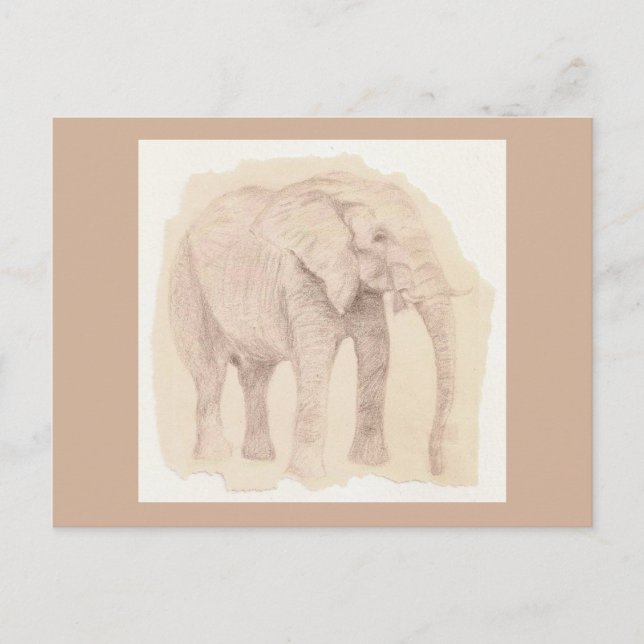 Cartão Postal Esboço de Arte de Elefante (Frente)