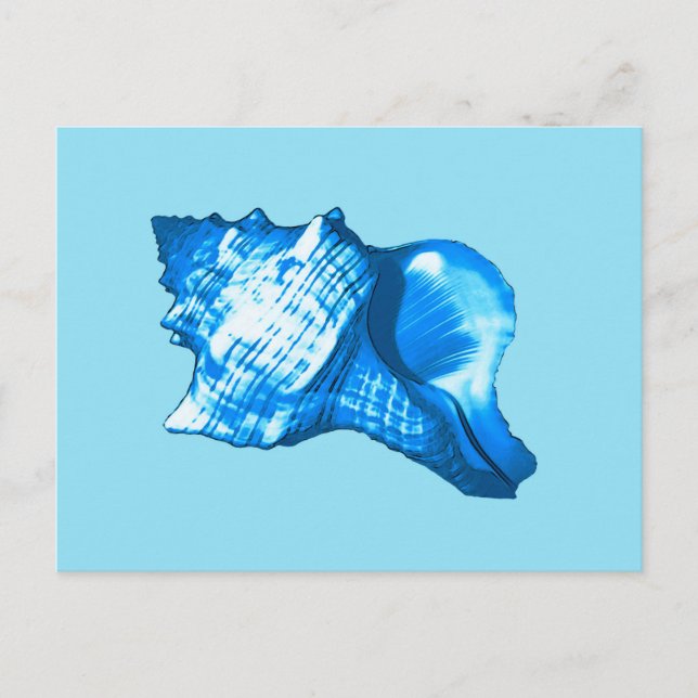 Cartão Postal Esboço de concha - azul cobalto e azul céu (Frente)