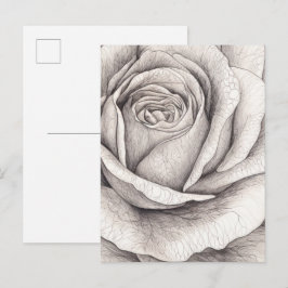 Cartão Postal Esboço de Rosa 
