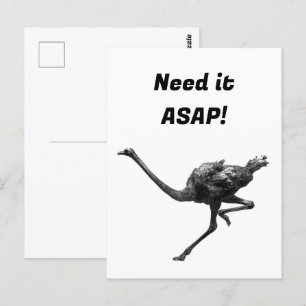 Cartão Postal Esboço De Tinta De Ostrich, Arte Legal De Pássaro 