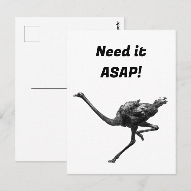 Cartão Postal Esboço De Tinta De Ostrich, Arte Legal De Pássaro  (Frente/Verso)