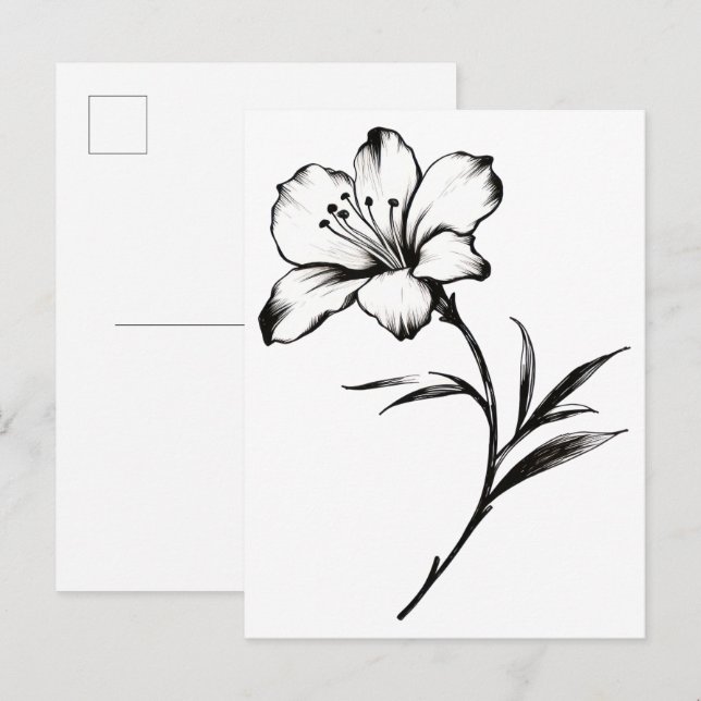 Cartão Postal Esboço de uma flor (Frente/Verso)